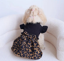 Load image into Gallery viewer, Cheetah Print Dog Dress