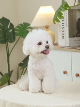 Load and play video in Gallery viewer, Cheetah Print Dog Dress
